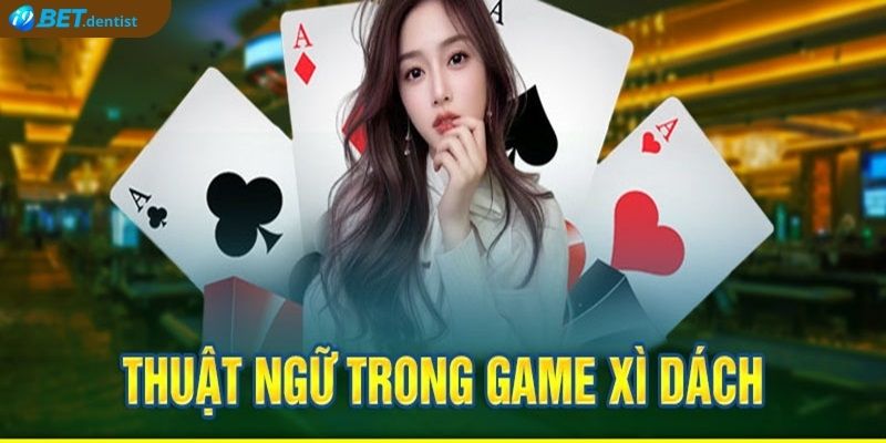 Thuật ngữ cơ bản trong luật chơi xì dách